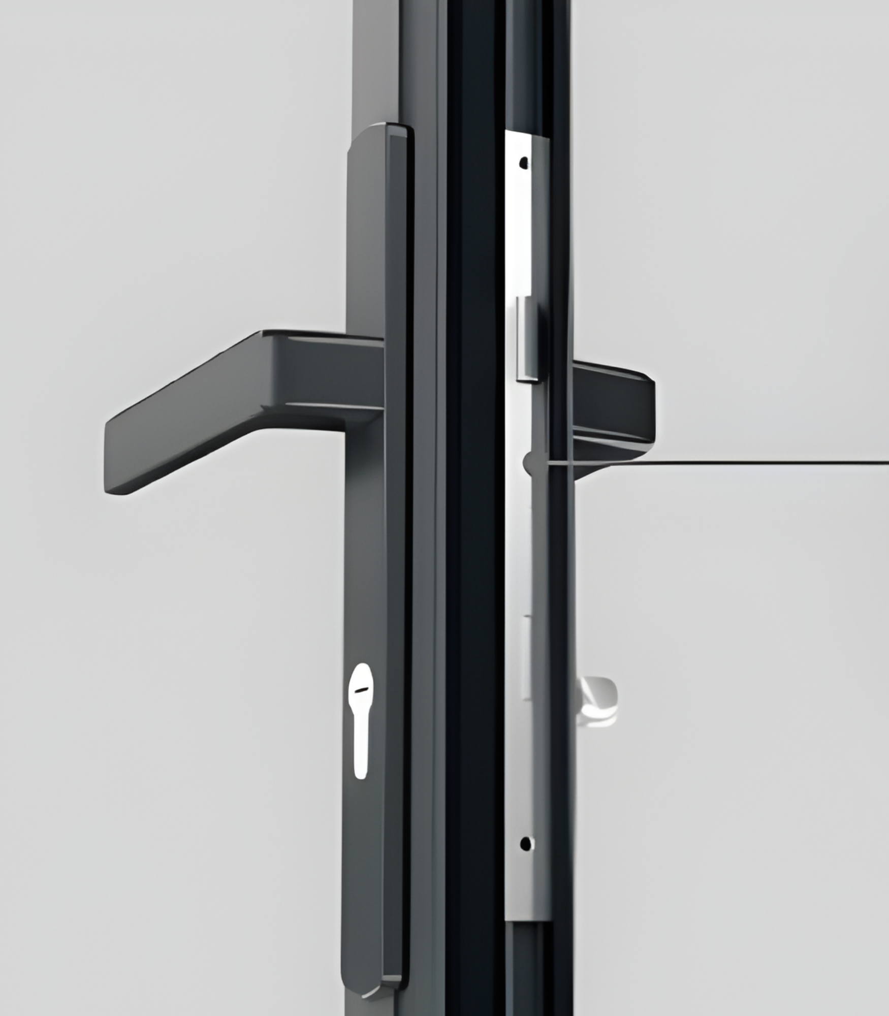 VLX 100 Swing / Entry Door in Dallas, TX | Westlight Windows Dallas - detail 5